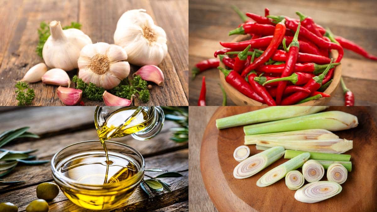 Nguyên liệu làm ớt sa tế chay