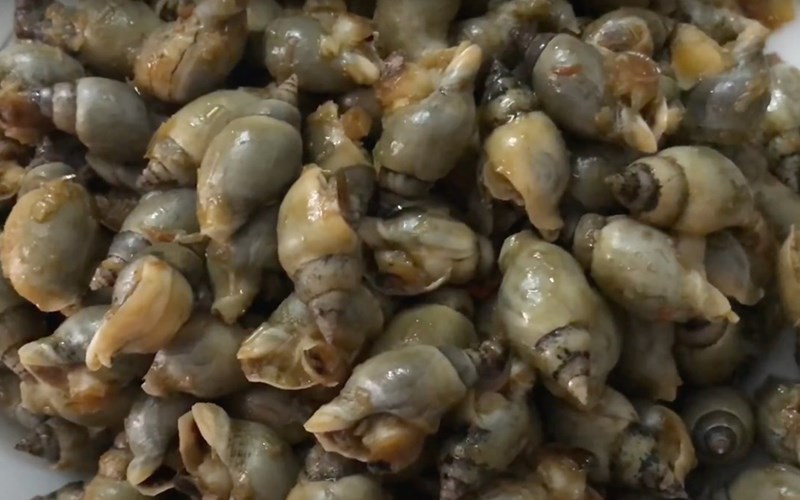 Ốc móng tay xào sa tế