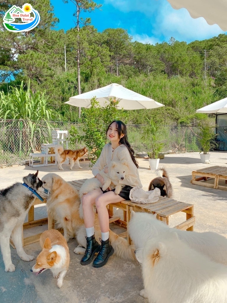 Nhà của Dog Garden