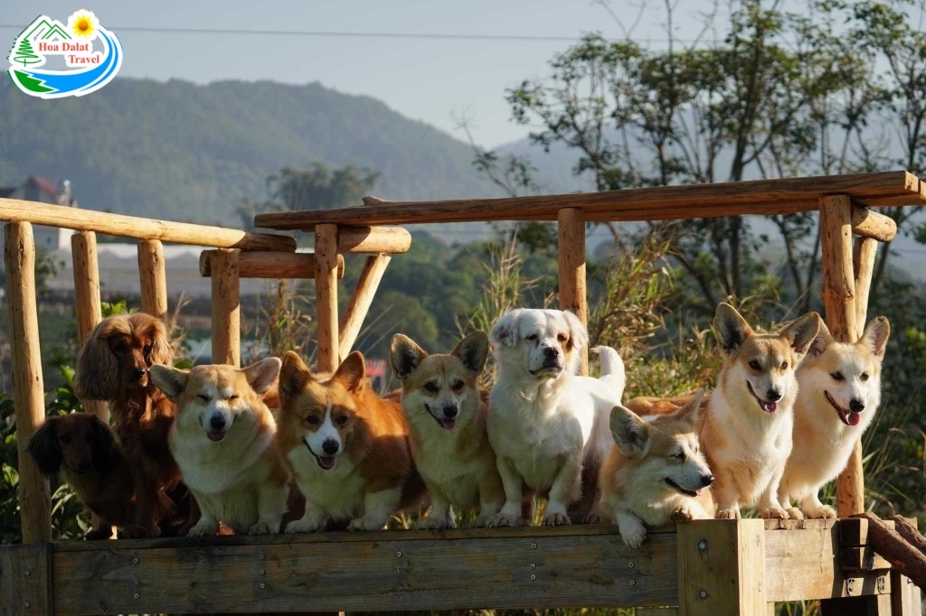 Black Rock Garden Đà Lạt