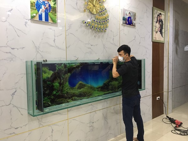 Thiết kế bể cá treo tường tại nhà