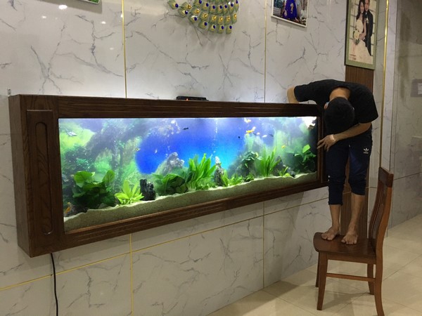 Lắp đặt bể cá treo tường sang trọng cho không gian sống hiện đại