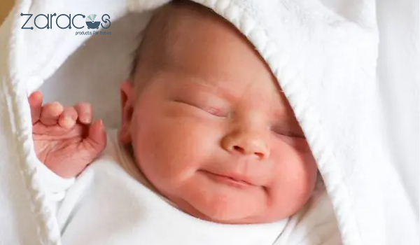 stt-mung-con-chao-doi-hai-huoc