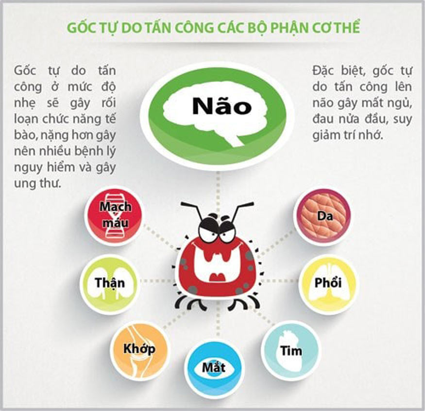 Tác hại của oxi hóa là gây ra gốc tự do phá hủy cơ thể