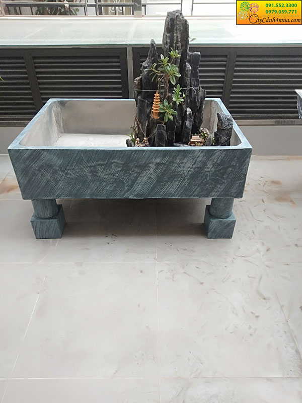Bể cá cảnh  xi măng