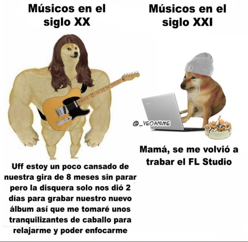 Cheems, the most famous Shiba Inu in&nbsp;Mexico