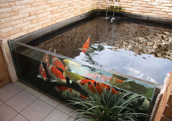 Báo Giá Xây Hồ Cá Koi 2 Khối Trọn Gói