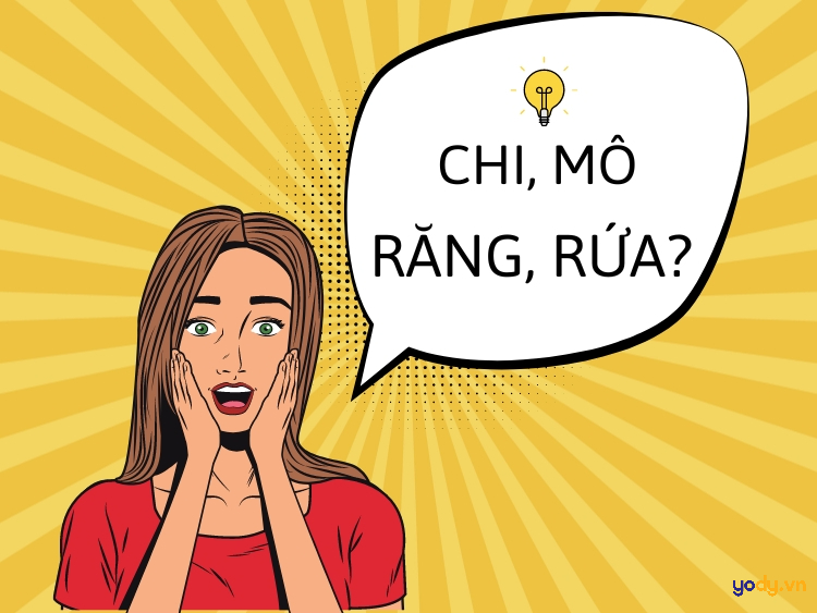 rứa là gì