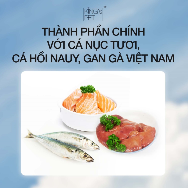 Những thực phẩm nào không được có trong đồ ăn cho chó? 