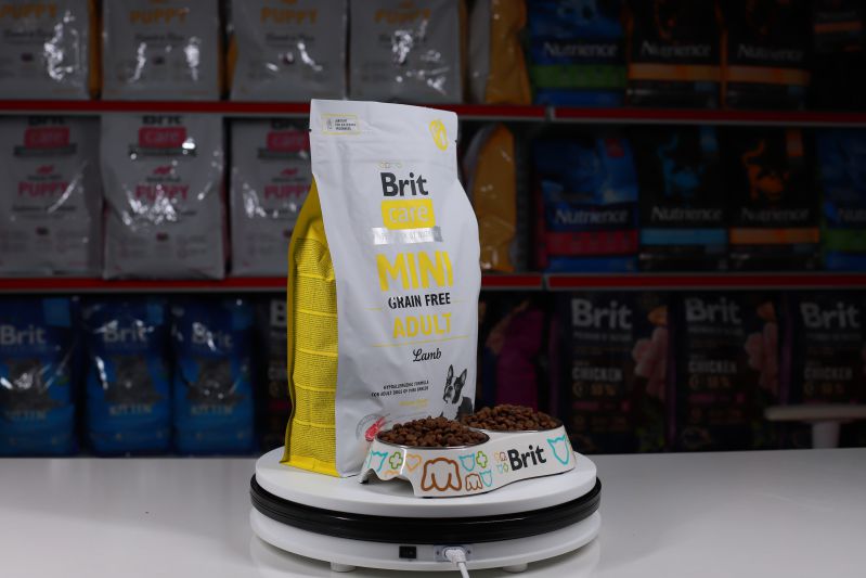 chó ăn xương không tiêu phải làm sao 4