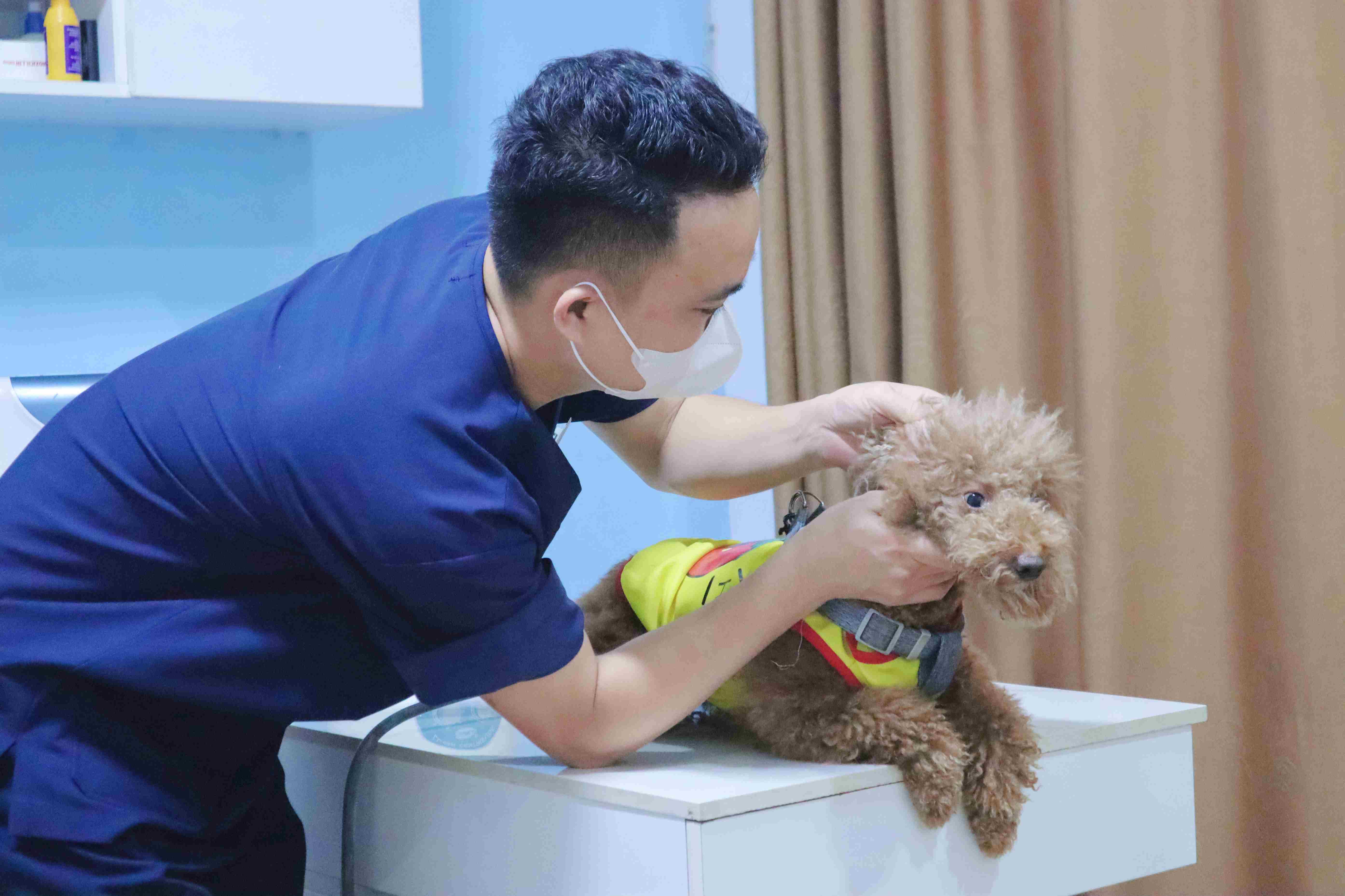 Quan sát các vết xuất huyết dưới da