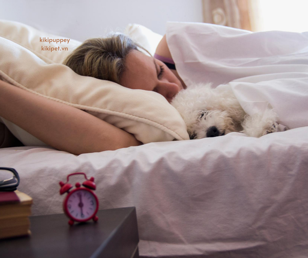 tư thế ngủ của chó ngủ rúc vào người