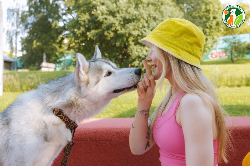 Chó thích rượt đuổi gì