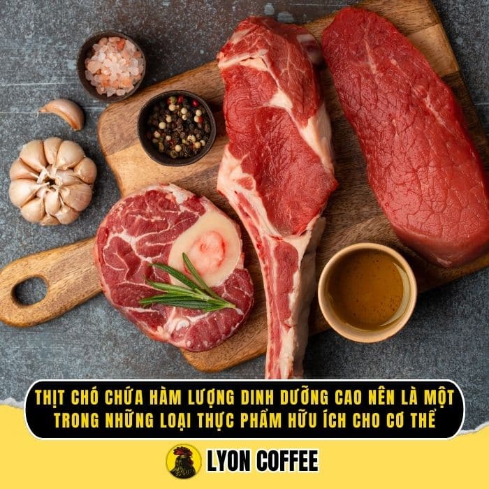 Tác dụng của thịt chó