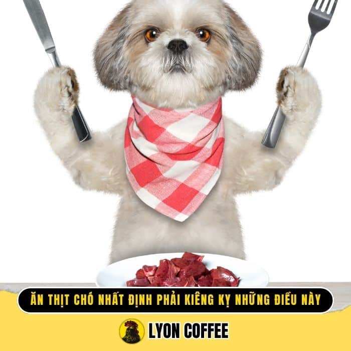 Ăn thịt chó nhất định phải kiêng kỵ những điều này