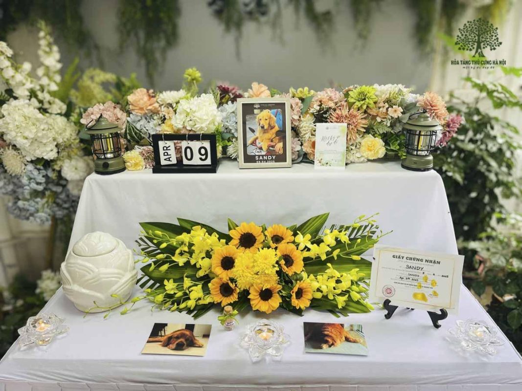 Chó mất có nên chôn không? Lựa chọn nào tối ưu khi cún yêu qua đời