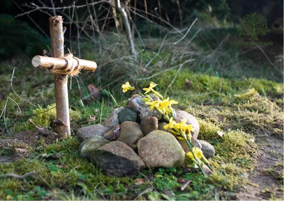 Vậy, chó mất có nên chôn không? thì việc chôn cất hoàn toàn được phép nếu điều kiện thực tế cho phép.