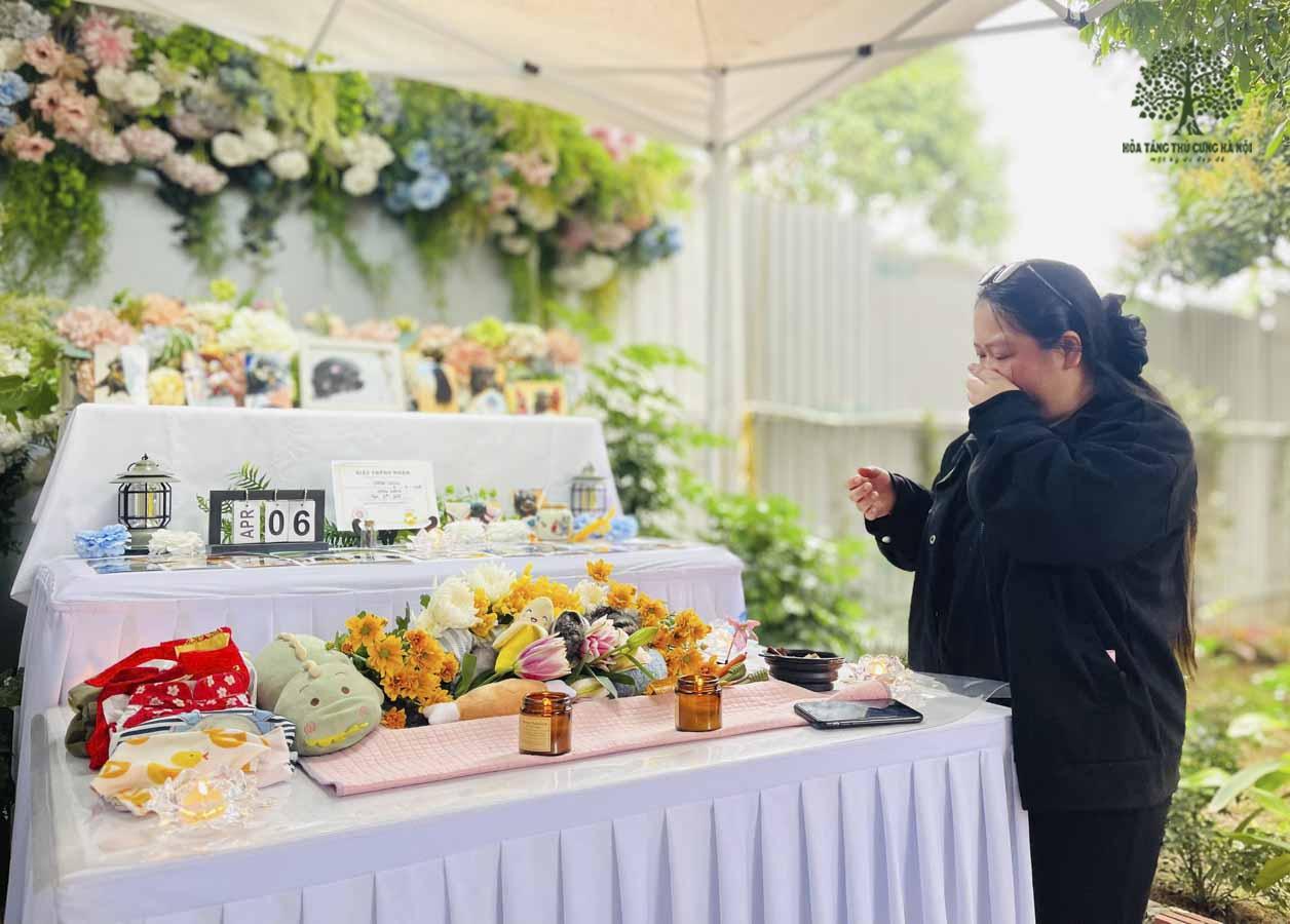 Hoả thiêu thú cưng là cách yêu thương đúng nghĩa - giúp thú cưng được tiếp tục hành trình tái sinh tốt đẹp hơn ở đời sau. 