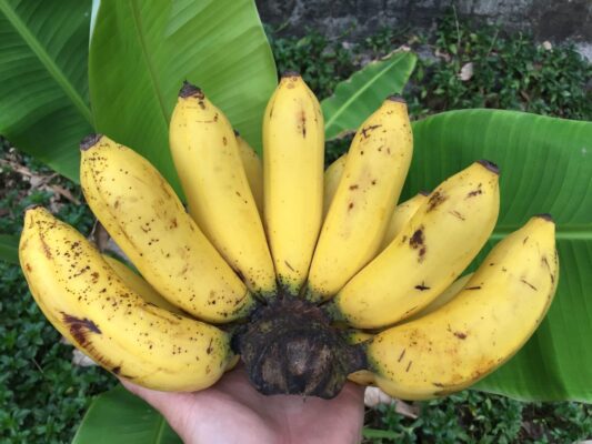 Topcargo - Trung tâm công cụ, dụng cụ, thiết bị gara ô tô