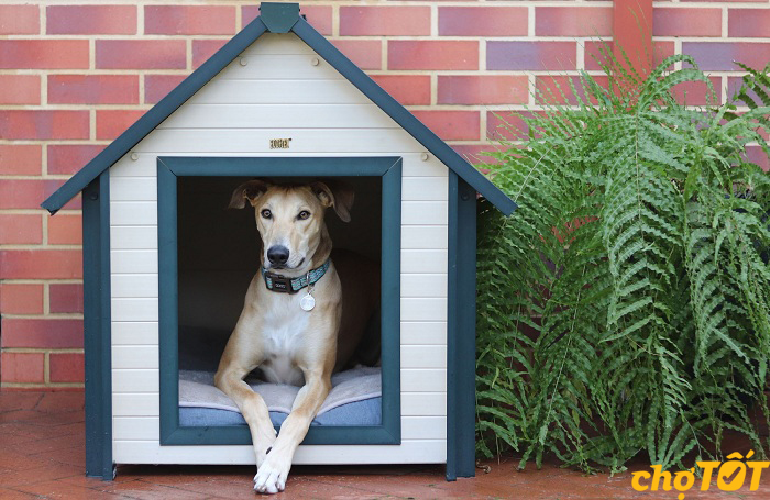 6.399 chuồng chó chất lượng tốt, giá rẻ 11/2025