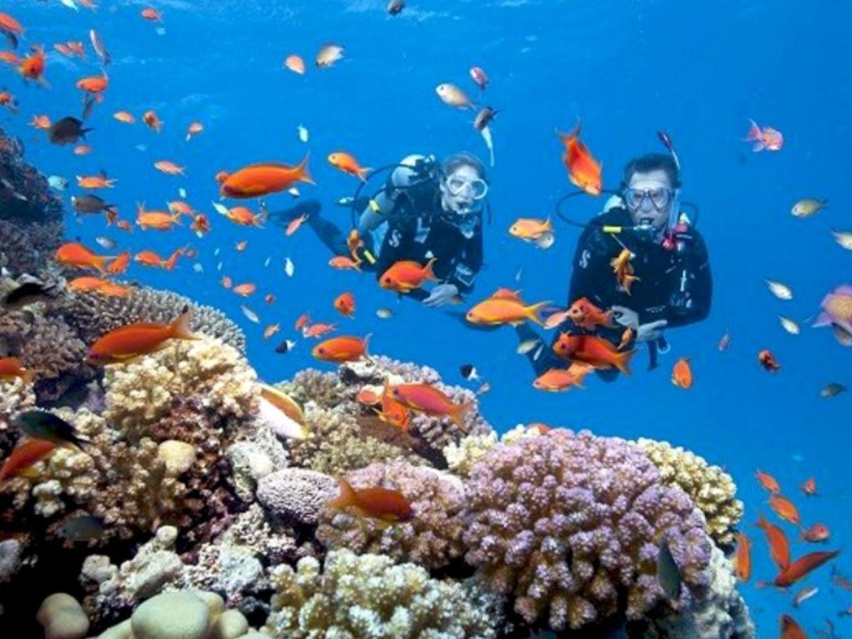 Với những chàng trai yêu thích trải nghiệm mới lạ thì đừng bỏ qua cách chụp khi lặn dưới biển