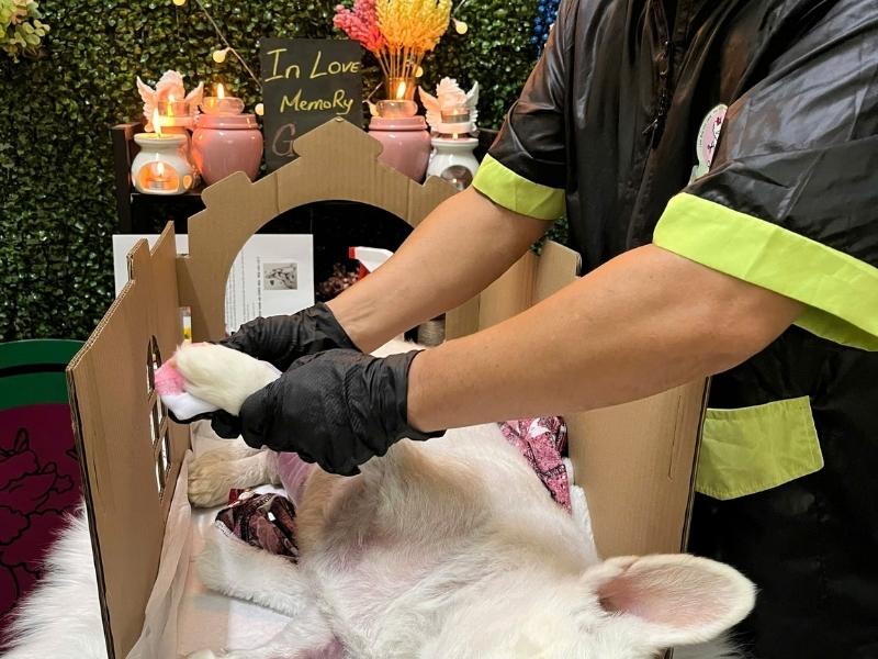 Có nên chôn thú cưng trong nhà