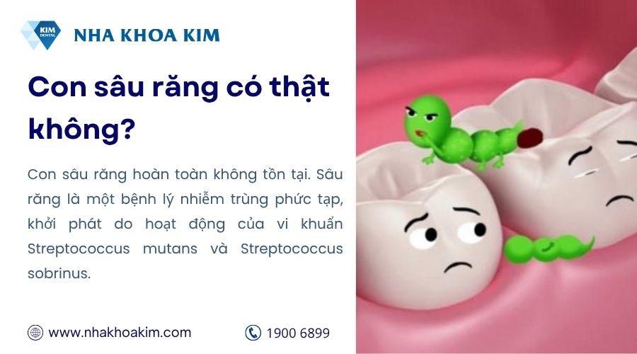 Con sâu răng có thật không?