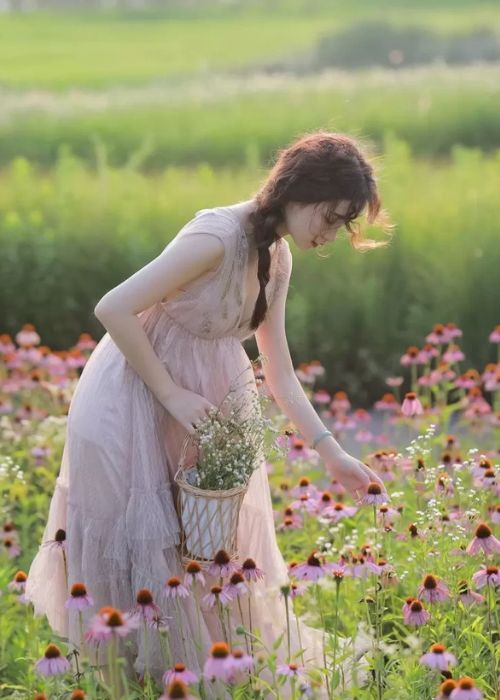 Concept-chup-anh-voi-cac-loai-hoa-cac-mua