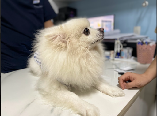 Cung cấp chế độ dinh dưỡng phù hợp