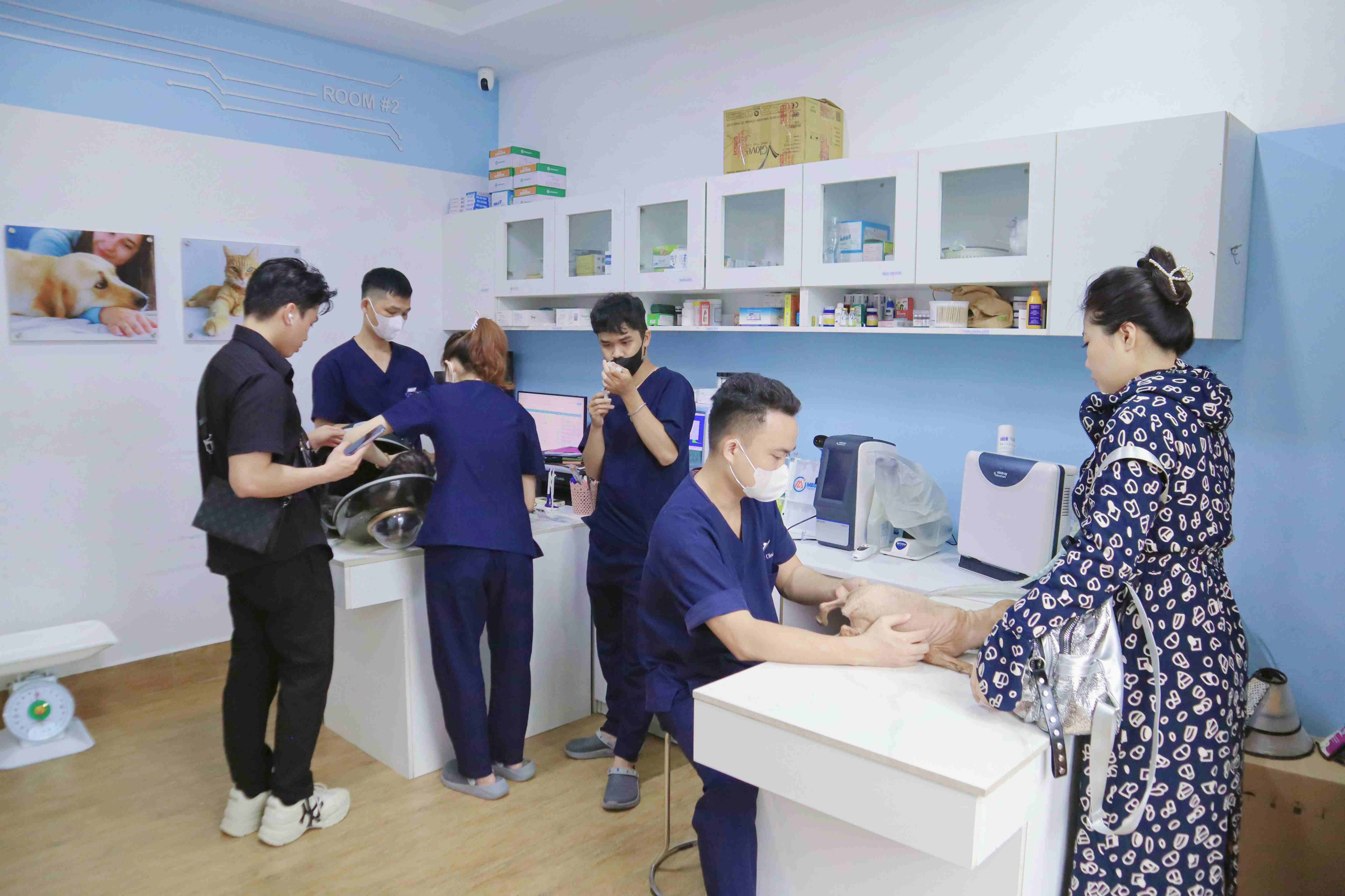 Khám sức khỏe chó định kỳ