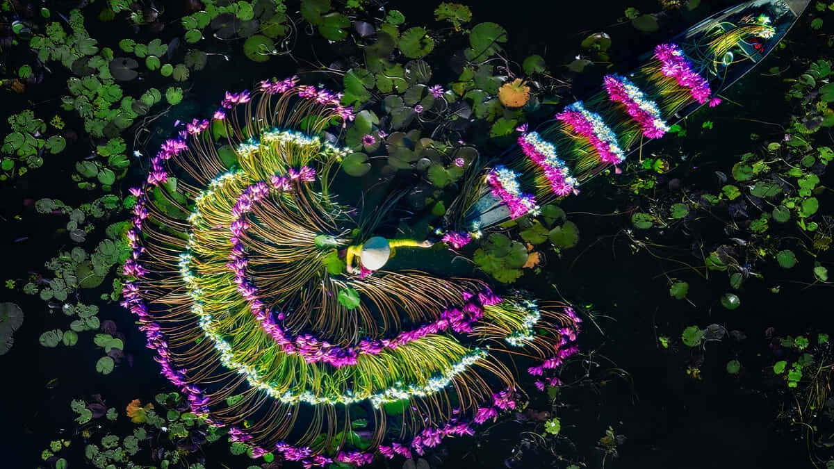 Quan sát và khám phá