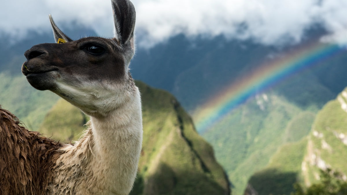 Tạo bố cục tiền cảnh, tạo chiều sâu