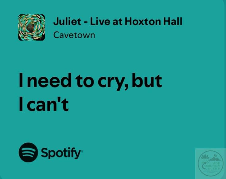 Dòng chảy nhẹ nhàng mang đến sự an yên giữa những tâm tư