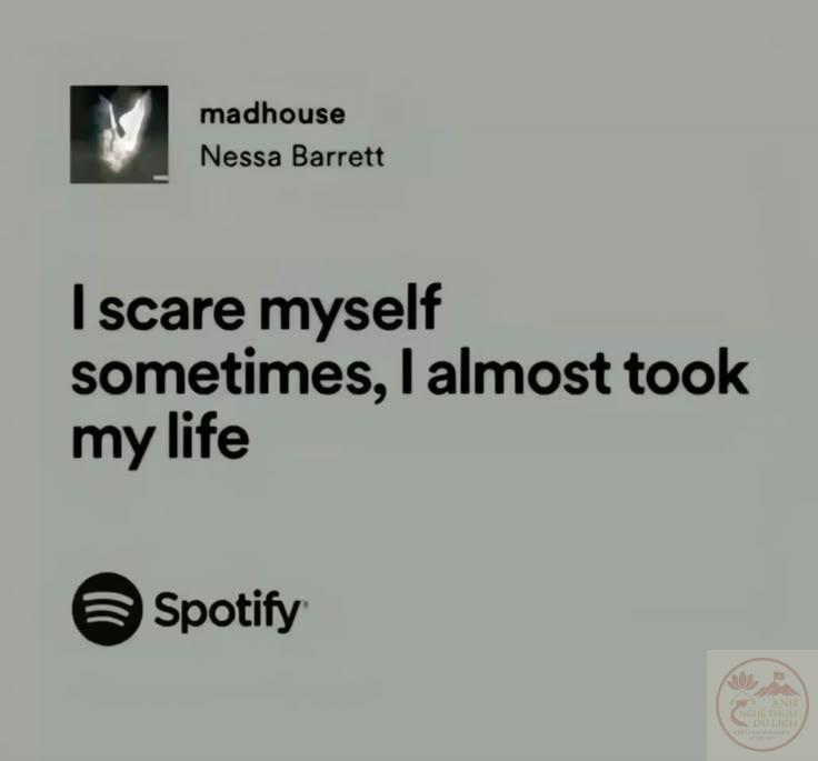 Khoảnh khắc tĩnh lặng gợi nhắc những cảm xúc sâu thẳm trong lòng