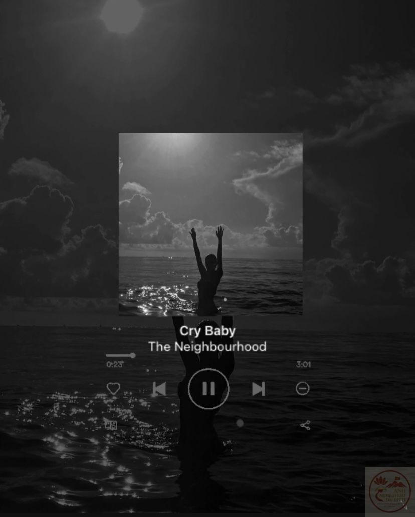 Bầu không khí hiền hòa khiến người xem tìm thấy bình yên