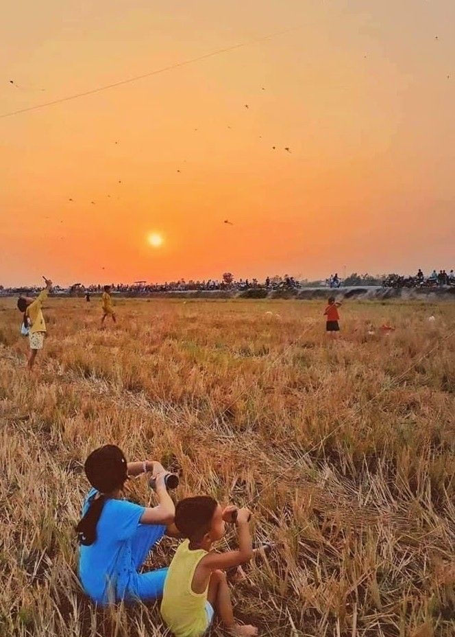 Ảnh đồng quê lúc hoàng hôn ánh nắng phủ vàng cả cánh đồng