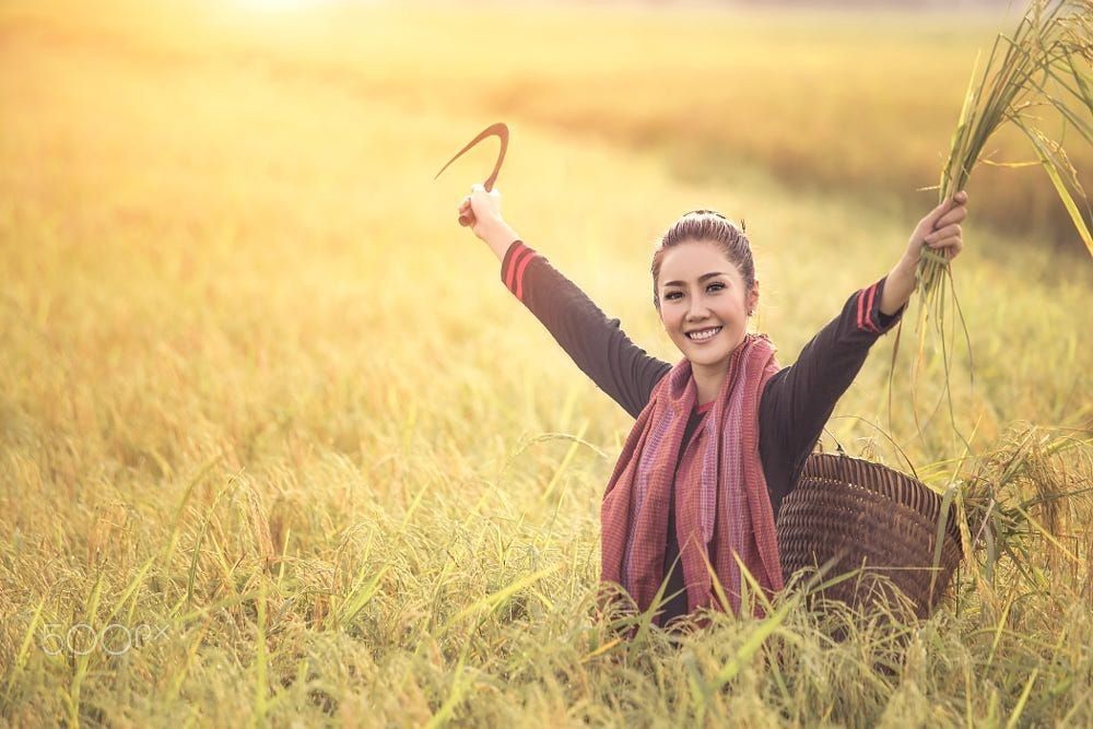 Chụp ảnh đồng quê chill