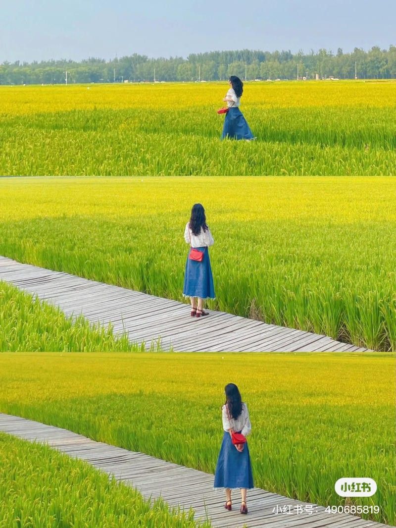 Tip chụp ảnh đồng quê đẹp