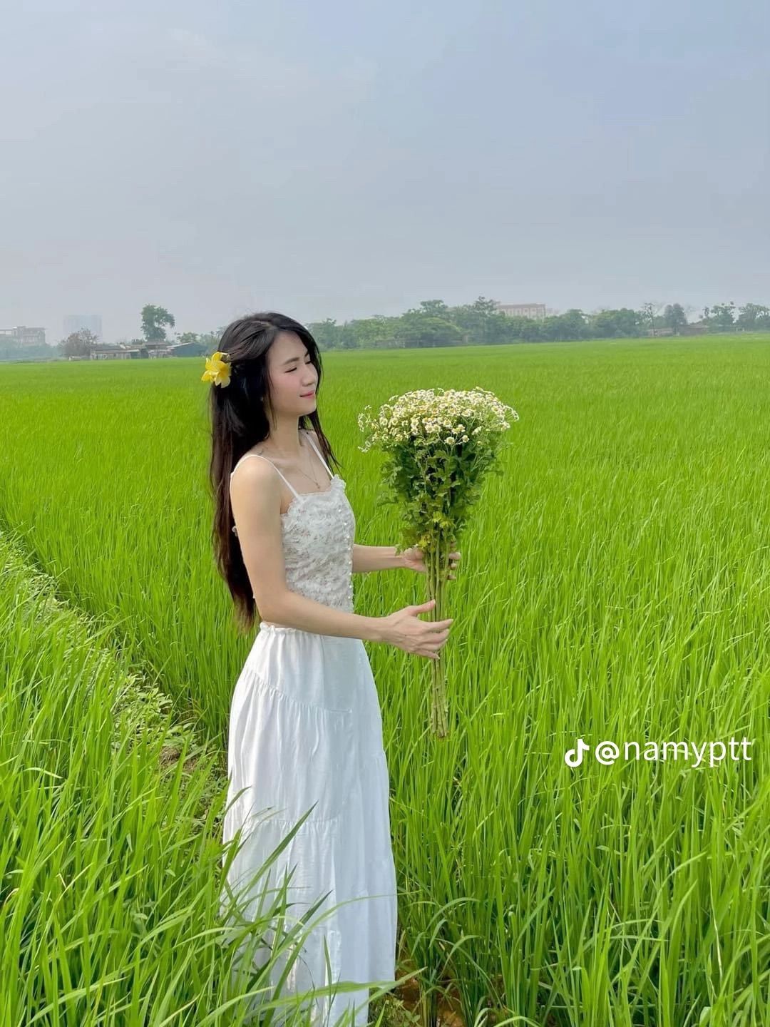 Chụp ảnh đồng quê thanh bình Việt Nam