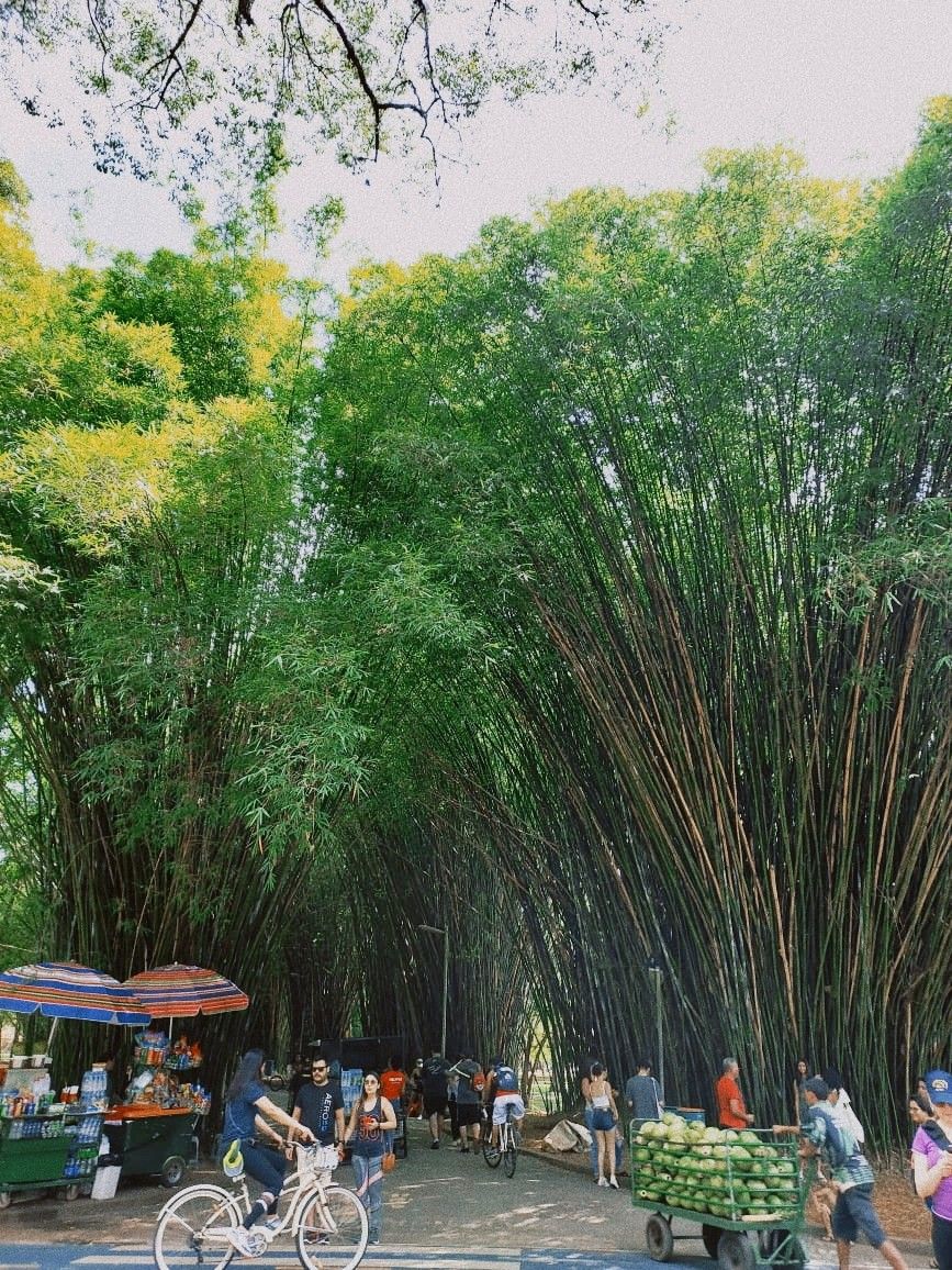 Hình nền quê hương việt nam nổi bật với lũy tre và mái đình