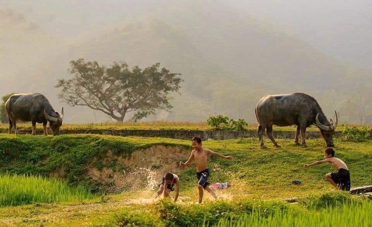 Ảnh đồng quê chill khi trẻ con tắm mưa dưới bầu trời xám