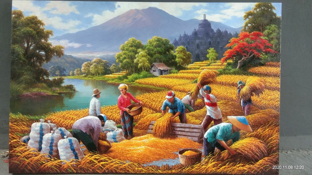 Hình ảnh bình yên ở quê mùa lúa chín vàng được cắt tay