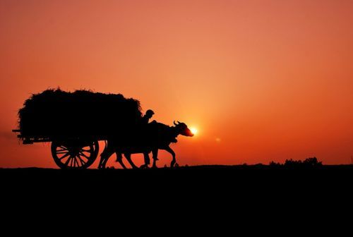 Hình ảnh làng quê thanh bình lúc ánh náng lui sau núi xa