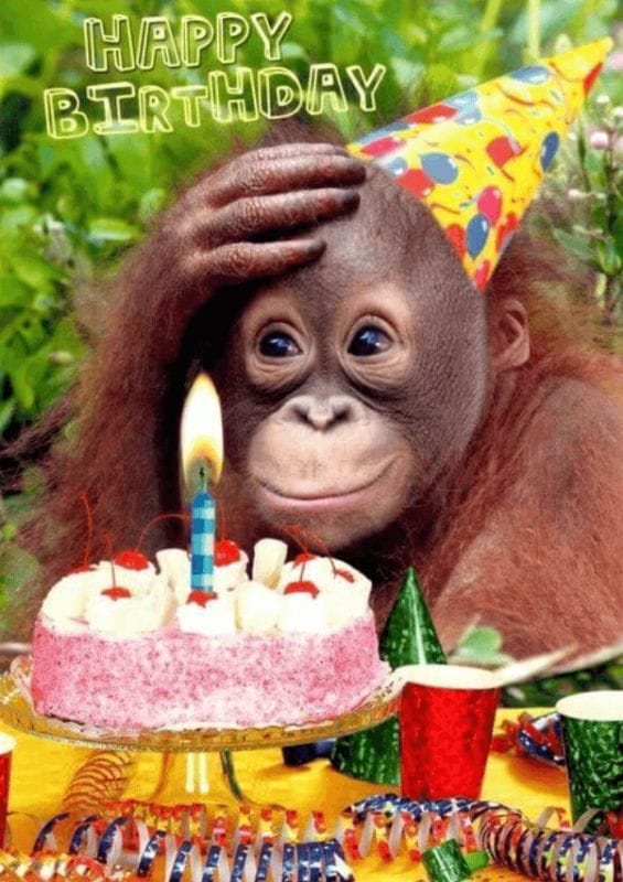 Tổng hợp hình chúc mừng sinh nhật đẹp trên facebook vui vẻ