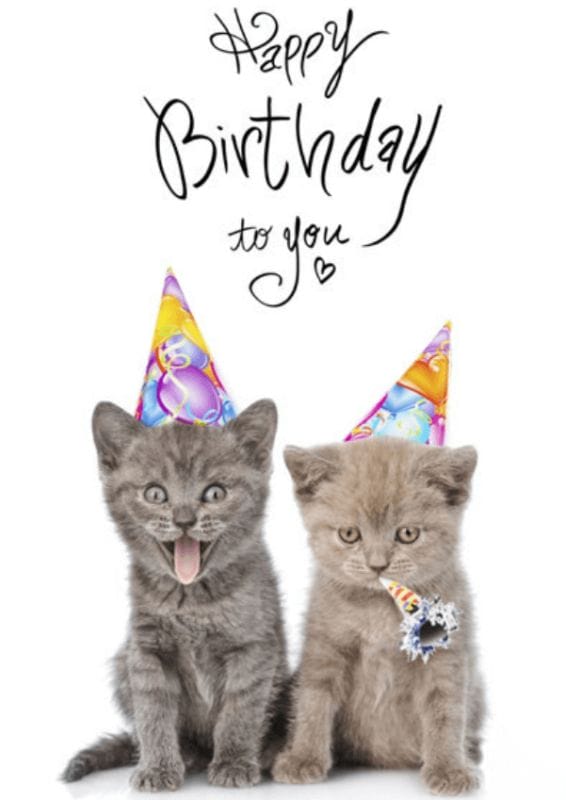 Ảnh sinh nhật hài