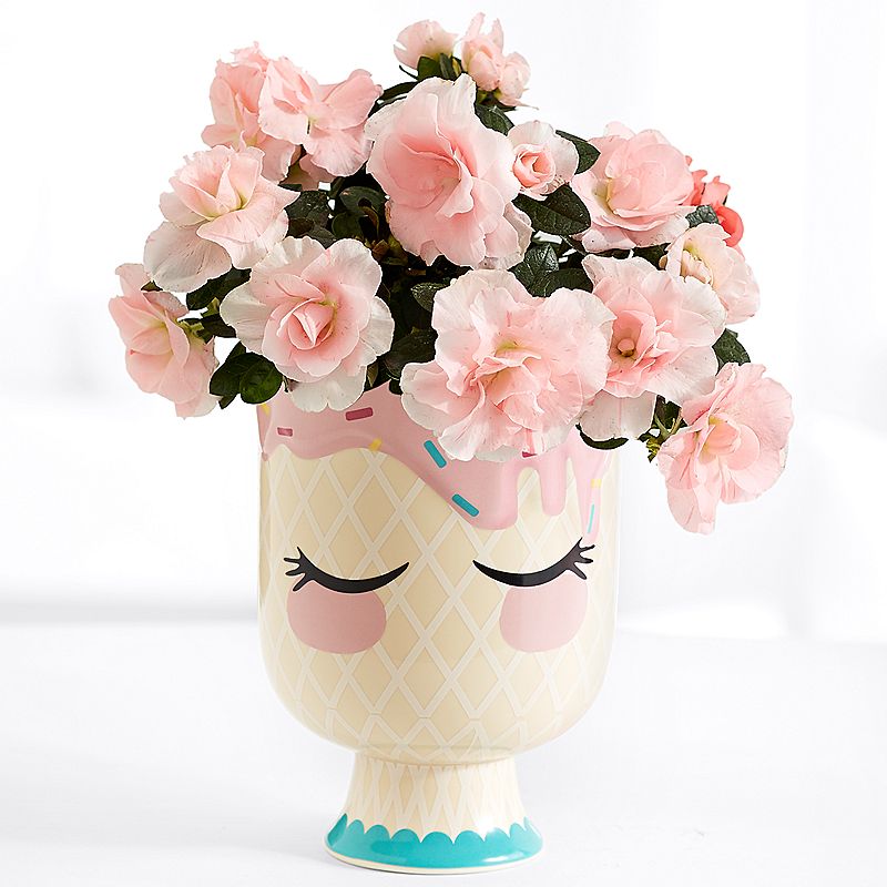 Tải hoa sinh nhật tặng bạn đẹp nhất