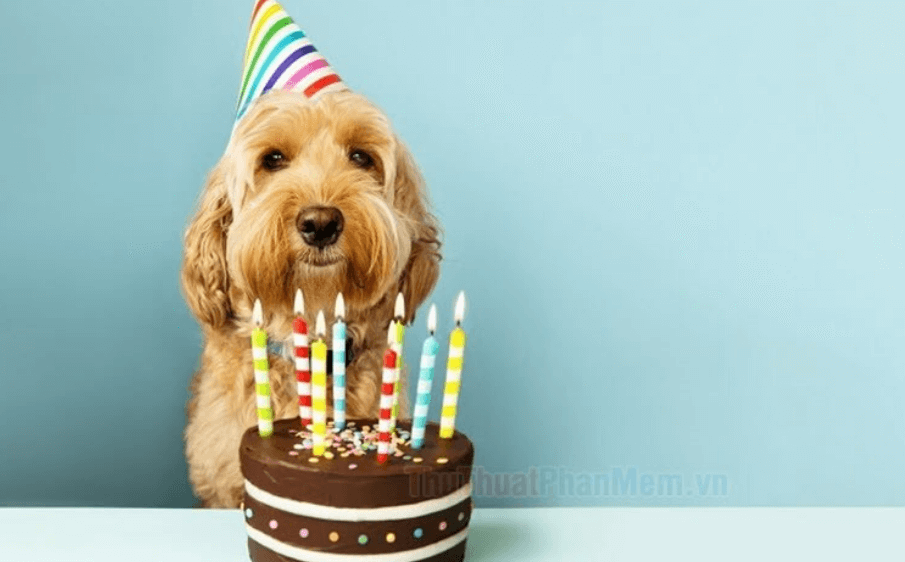 Banhsinh nhatdep với tiền