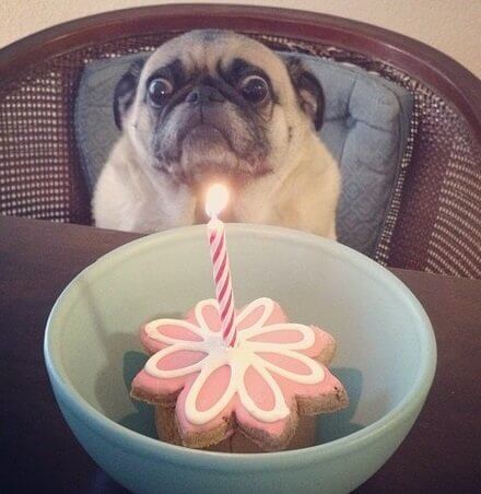 Hình ảnh chúc mừng sinh nhật chị gái vui vẻ