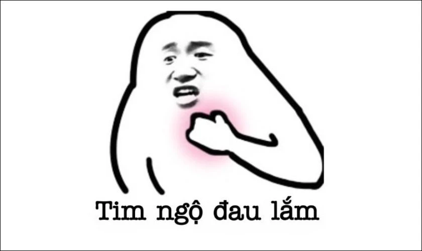 Ảnh Meme hài bựa, hài hước nhất 2025