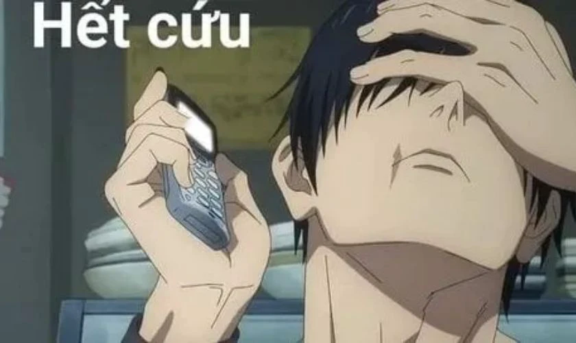 Ảnh meme hết cứu vui nhộn, độc đáo